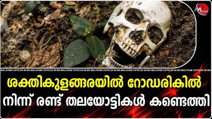 ശക്തികുളങ്ങരയിൽ റോഡരികിൽ നിന്ന് രണ്ട് തലയോട്ടികൾ കണ്ടെത്തി