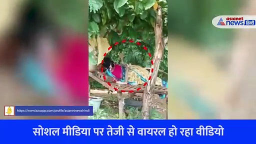 लेटी हुई महिला के ऊपर फन फैलाए बैठा रहा किंग कोबरा, फिर जो हुआ...रौंगटे खड़े कर देगा Video 