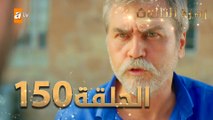 مسلسل زهرة الثالوث - الحلقة 150 | مدبلج | الموسم الثاني