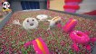 Colors Song - Ten Little Donuts   Fun Sing Along Song   Kids Cartoon   Kids Song   BabyBus