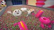 Colors Song - Ten Little Donuts   Fun Sing Along Song   Kids Cartoon   Kids Song   BabyBus