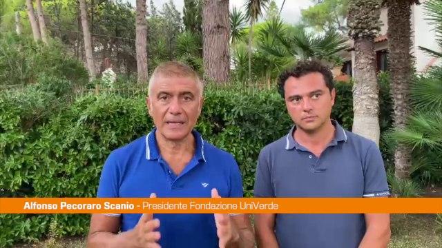 Energia, Pecoraro Scanio Sconto in fattura per imprese e famiglie