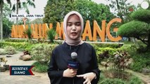 Unik! di Malang, Juru Parkir Ini Tata Motor Sesuai dengan Jenis dan Mereknya