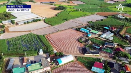 [현장 카메라]어렵게 데려온 외국인 계절근로자 도주…그들은 왜