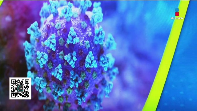 Reporte diario Covid-19 en México: casos confirmados y decesos