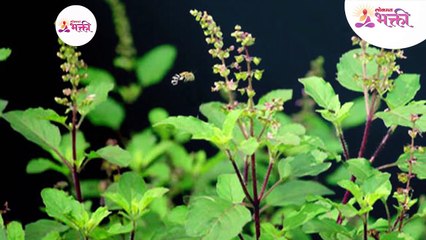 हे संकेत दुर्लक्षित करू नका, सावध रहा-