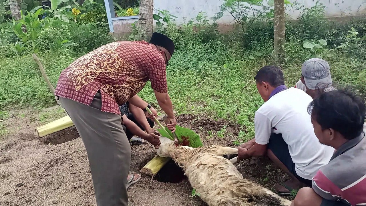 Tradisi aqiqoh sembelih kambing