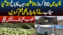 Chaman Me 50 Crore Wala Famous Apple Garden Flood Se Ujar Gaya - Flood Ne Abadian Bhi Khatam Kar Di