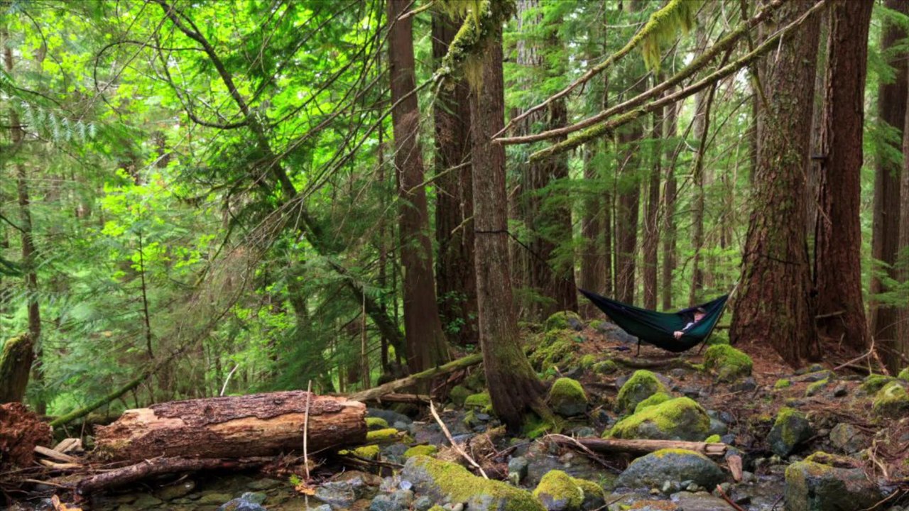 Tod in Einsamkeit: Isoliertester Mann verstorben