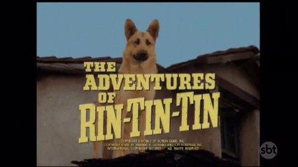 As Aventuras de Rin-Tin-Tin - Rusky Deixa o Exército (28 08 2022)