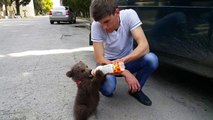 Adorable  cet homme donne du biberon à un petit ourson