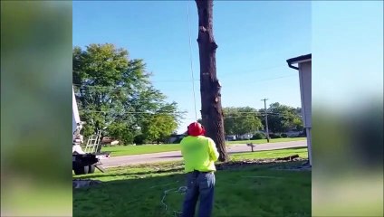Ce bûcheron s'est littéralement envolé en coupant un arbre