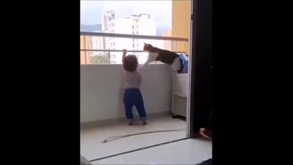 Pas besoin d'un babysitter quand on a ce chat !