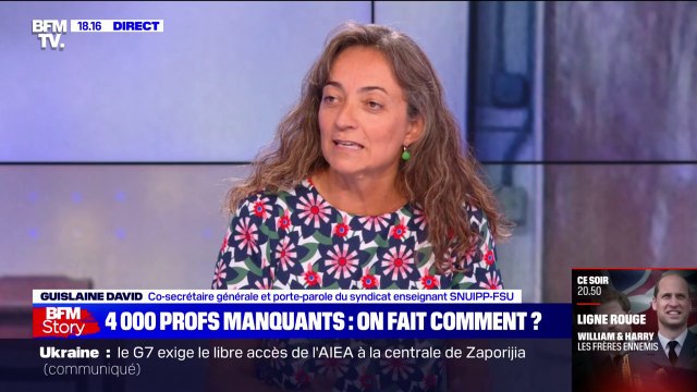 Guislaine David, syndicaliste enseignante, dénonce la tenue de jobs dating de 30 minutes pour recruter des enseignants contractuels