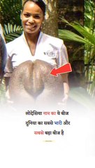 दुनिया का सबसे बड़ा बीज और भारी