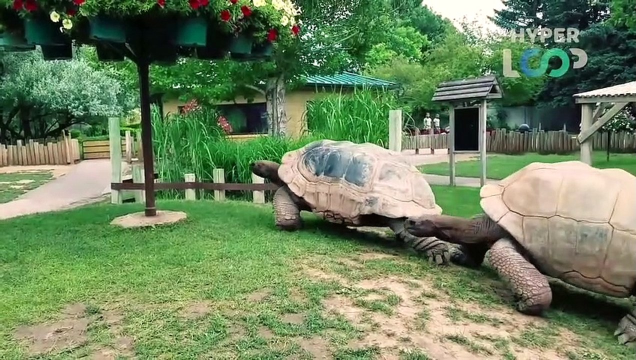 30 MIND BLOWING MOMENTS CAUGHT ON CAMERA