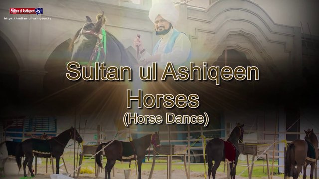 Sultan-ul-Ashiqeen Horse Dance | Sultan Bahoo Horse | Horse Dance Event | Horse Show Pakistan