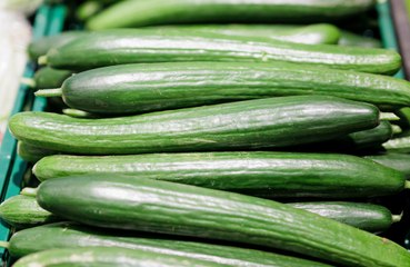 Gardener smashes record for longest cucumber on the planet