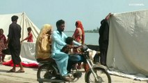 Flut-Katastrophe in Pakistan: Menschen auf der Suche nach Nahrung und Obdach