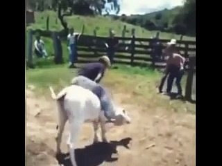 Eita ginete bom 2 kk