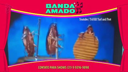 Ricardo Amado 29/08/22