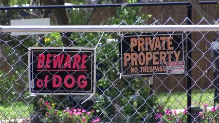 Homicidio en la calle Treway Noticias 28