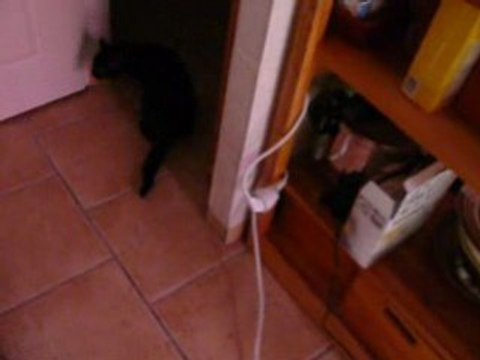 Decouverte de son nouveau chez soi par ma ptite mimie