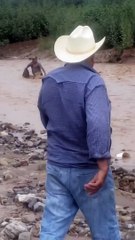Hombres lazan a un sujeto que era arrastrado por un río para poder salvarlo