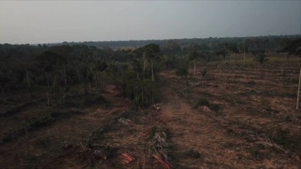 Last Living Member of Brazilian Indigenous Tribe Found Dead