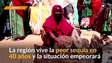 La región de El Cuerno vive la peor sequía en 40 años y la situación empeorará