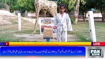 The Young Athletes Of The Karate Center Of Excellence, Okara Have Set A Great Example Of Humanity And Compassion | #PAKasiaTV