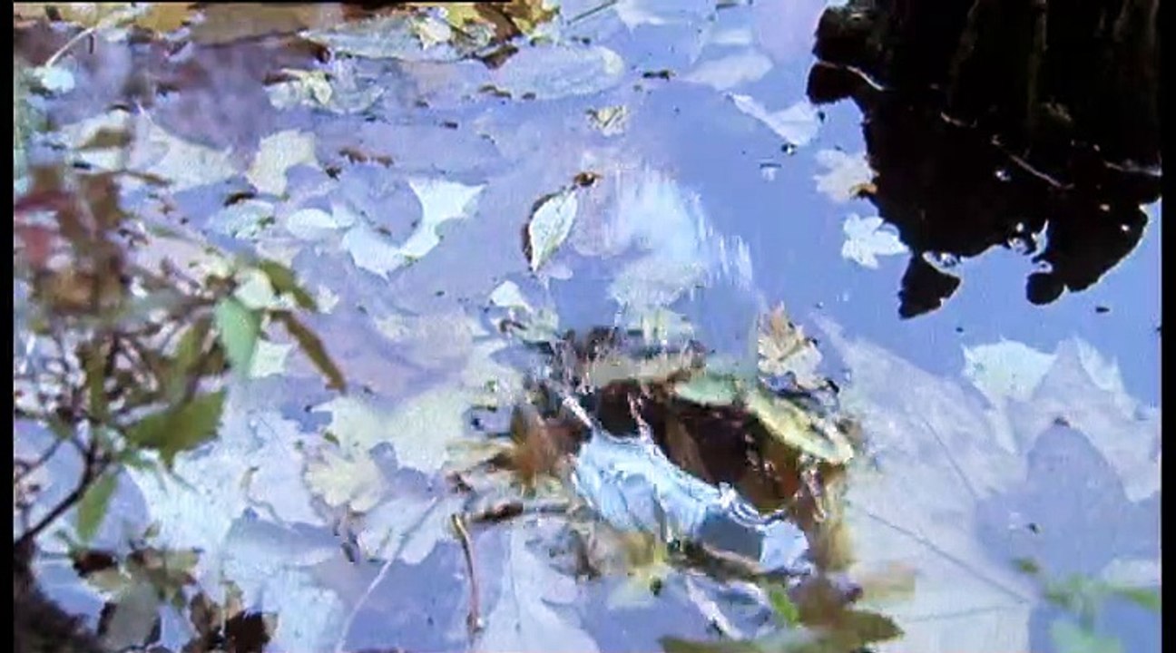 SOKO Köln Staffel 3 Folge 9 HD Deutsch