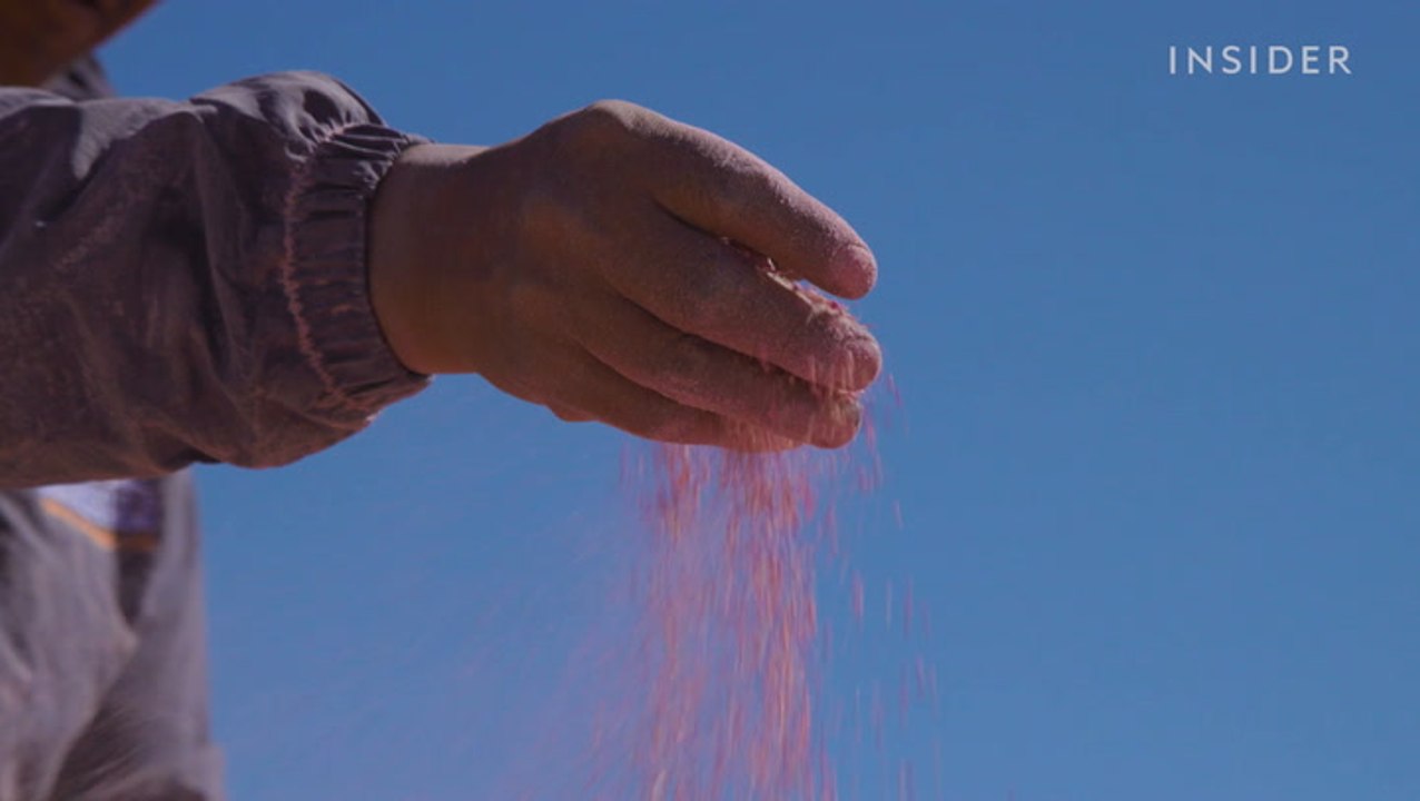 Royal quinoa is known as the "mother of all gra...