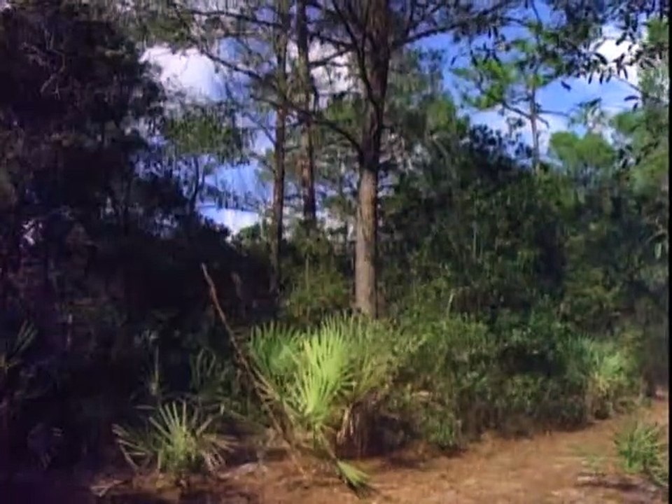 Superboy Staffel 1 Folge 13 HD Deutsch