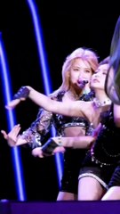 Blackpink rose cam focus