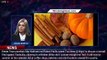 Pumpkin spice (and everything nice): We love it because there's brain science behind it - 1breakingn