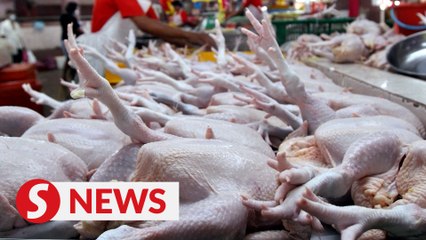 Annuar: Chicken ceiling price, egg subsidies to remain