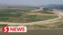 Northwest China city diverts water from Yellow River to ease drought