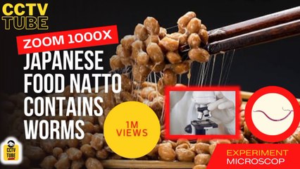 JAPANESE FOOD NATTO CONTAINS WORMS