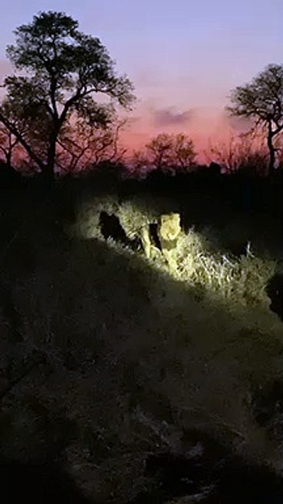 How do you earn respect_ LIKE THIS!!! #Shorts