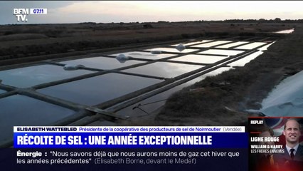 À Noirmoutier, la récolte de sel est exceptionnelle cette année en raison de la sécheresse