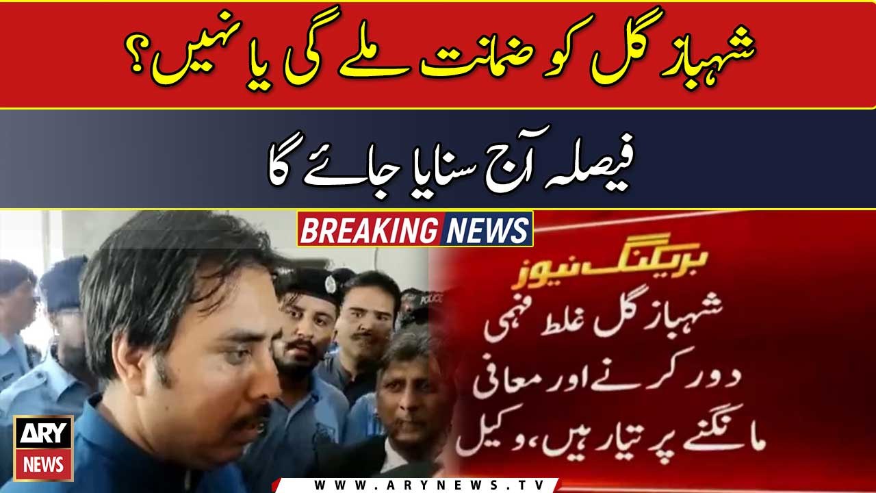 Shahbaz Gill will get bail or not?