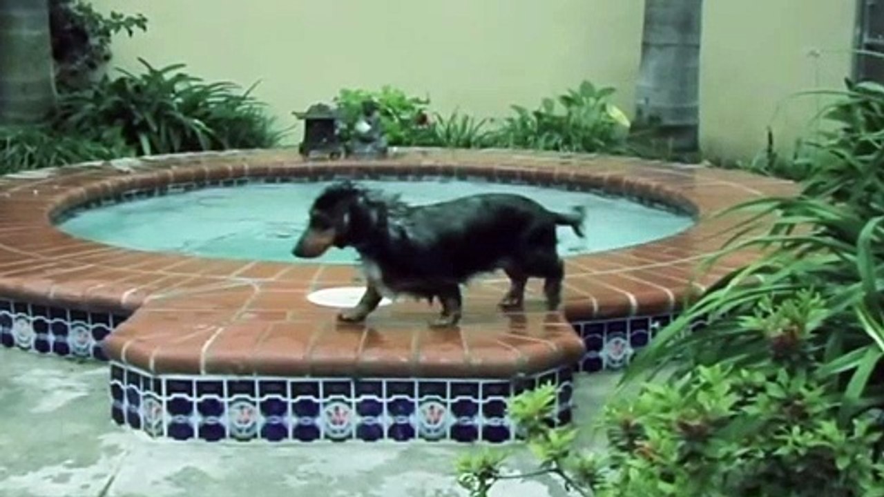 Time Travel Movie In Hindi Time Travel Movie