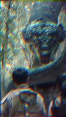 I'm a big kid now || evolution of animals