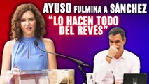 Ayuso (PP) fulmina a Sánchez (PSOE) con este demoledor aviso: “Lo hacen todo del revés”