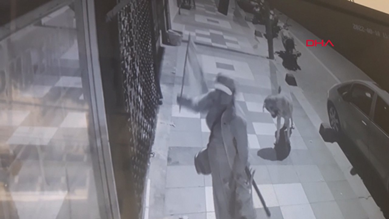 'Yıpranmış bayrak uykumu kaçırıyor' dedi bir gecede ilçedeki tüm bayrakları değiştirdi