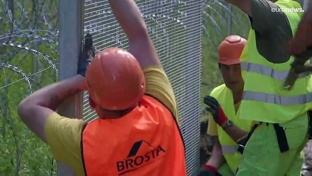 فيديو: ليتوانيا تنتهي من بناء حاجز بطول 550 كم لمنع الهجرة من بيلاروس