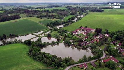 Cómo ayuda la República Checa al medioambiente criando peces en estanques