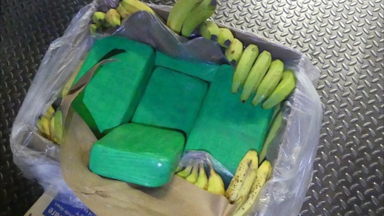 Obsthändler findet 660 Kilo Kokain in Bananenkisten