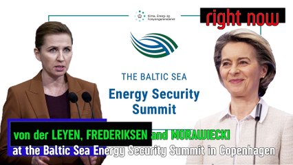 LIVE - Baltic Sea Energy Security Summit in Denmark.